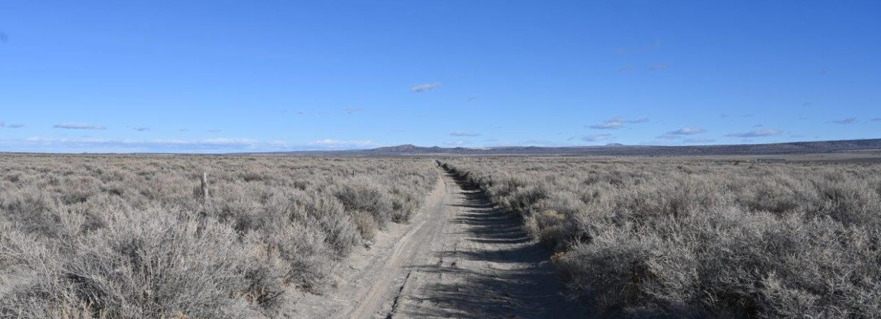 5 acres in Oregon Outback