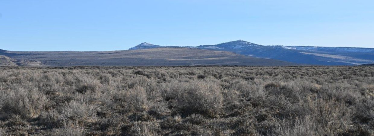 Experience the Oregon Outback